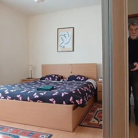 Palmeiras Pansiyon Arcozelo (Braga)