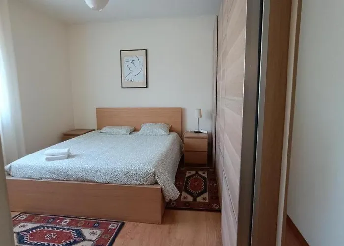 Palmeiras Homestay *