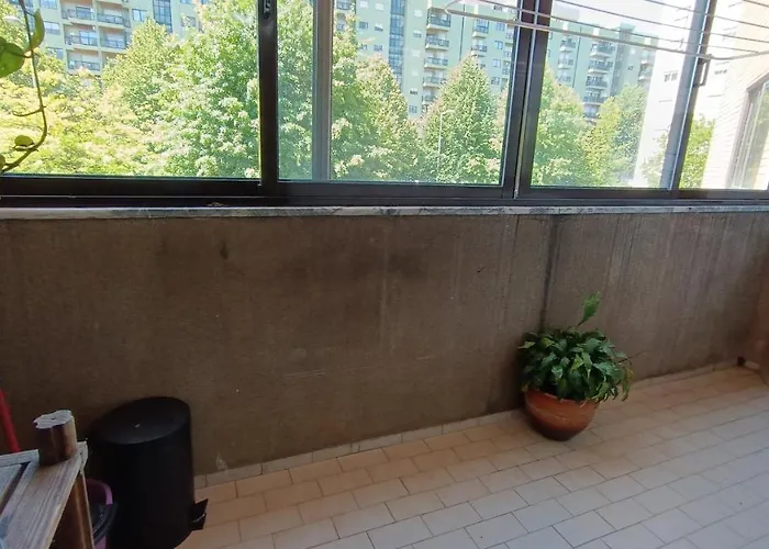 Palmeiras 홈스테이